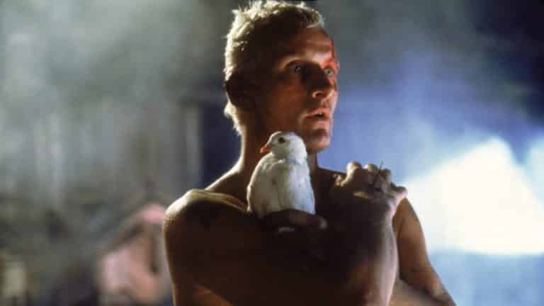 Hviezda prvého Blade Runnera si pokračovanie neužila! Aký má na to dôvod?