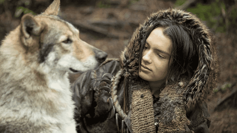 Očaril nás film o zocelení priateľstva medzi psom a človekom? | Náčelník RECENZIA