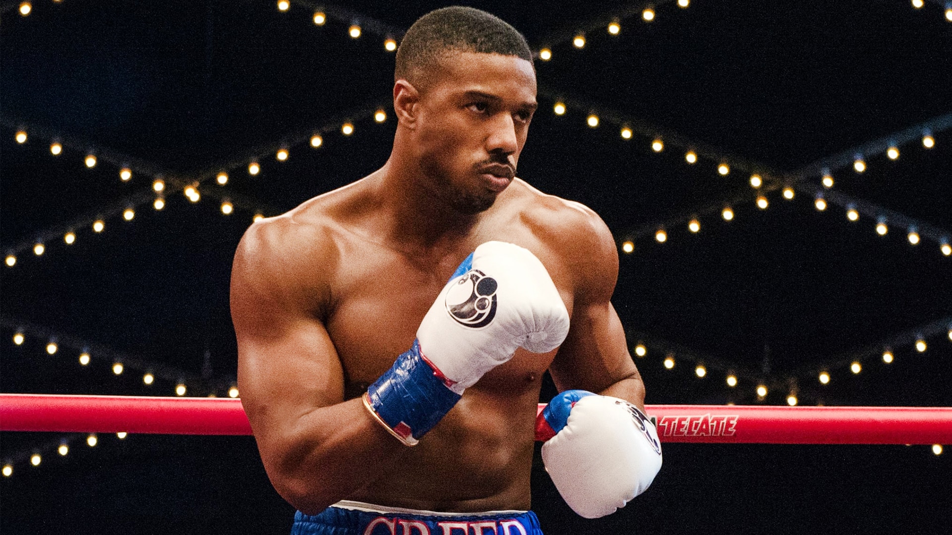 Nový Creed II trailer