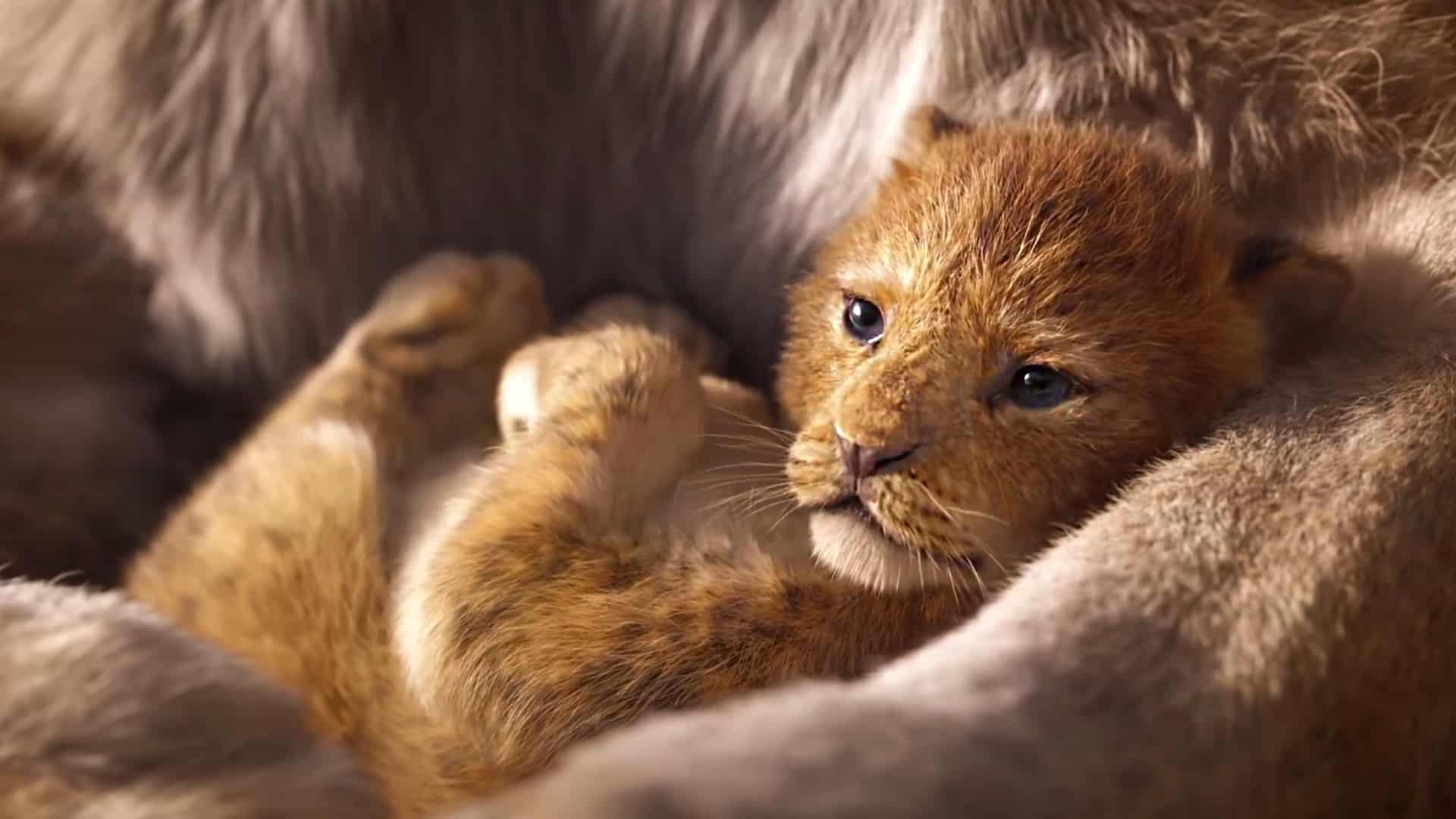 trailer na levieho kráľa