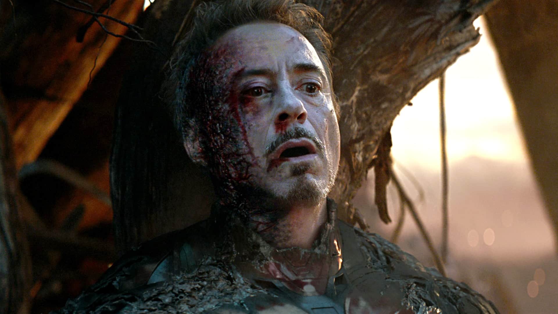 Robert Downey Jr. v Avengers: Endgame