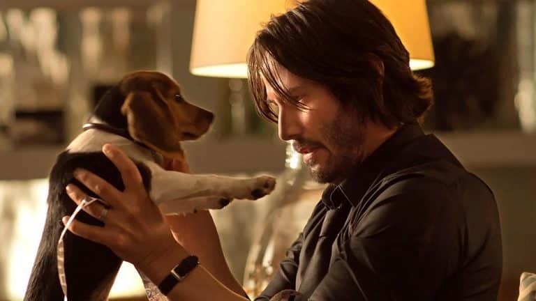 Pes vo filme John Wick spôsobil nezhody medzi režisérmi a štúdiom. Kto ho chcel nechať žiť?
