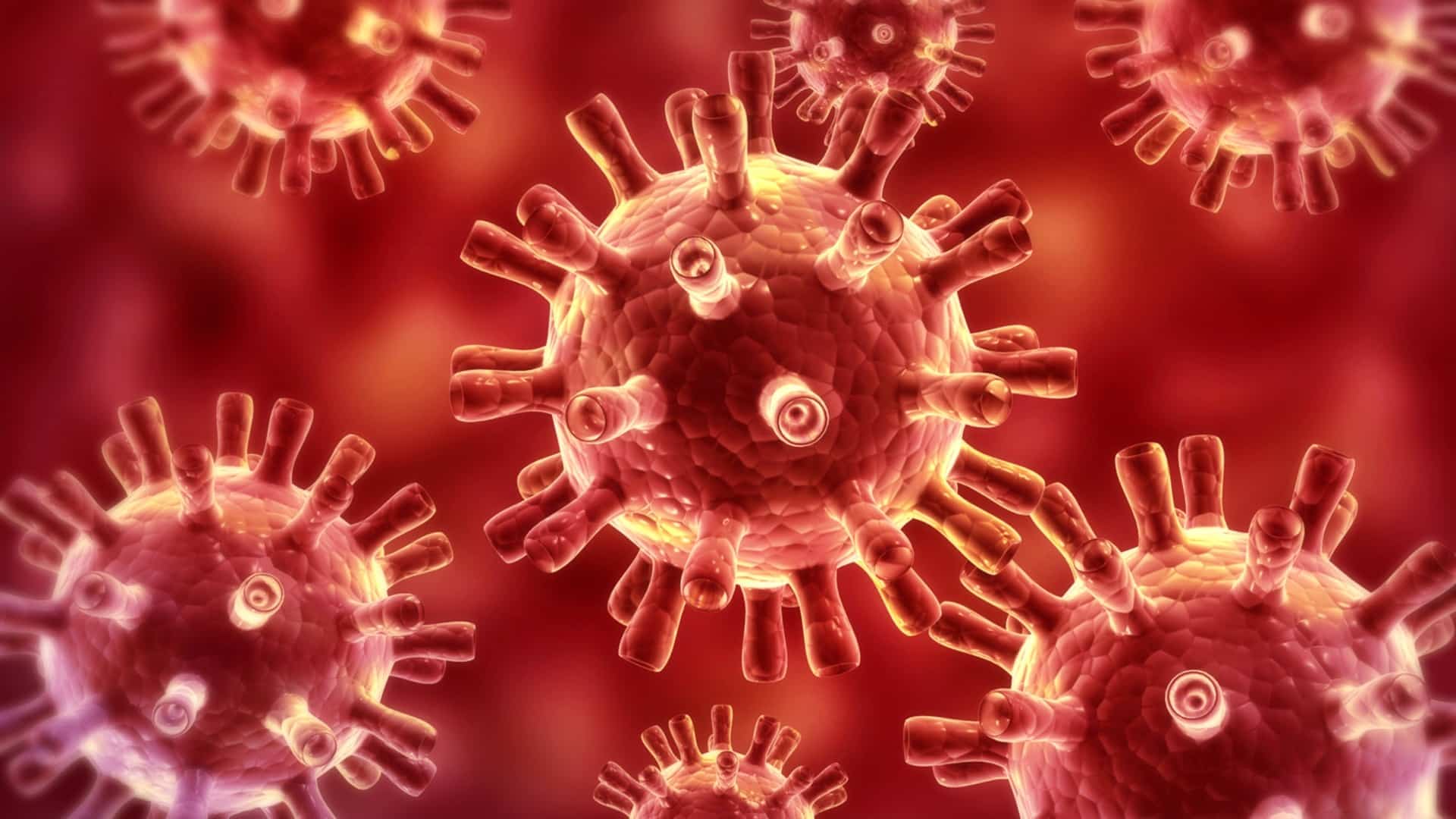 cinsky koronavirus