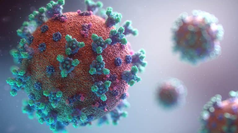 Vedci objavili tajnú zbraň v boji proti koronavírusu. Máme ju vo svojom tele