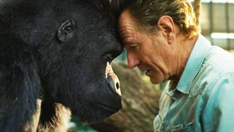 Talentovaná gorila je najlepším priateľom Bryana Cranstona v krásnom filme od Disney