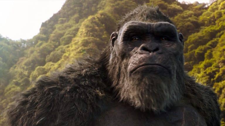 MonsterVerse pokračuje. Dostaneme po úspechu Godzilla vs. Kong príbeh Kongovho syna?