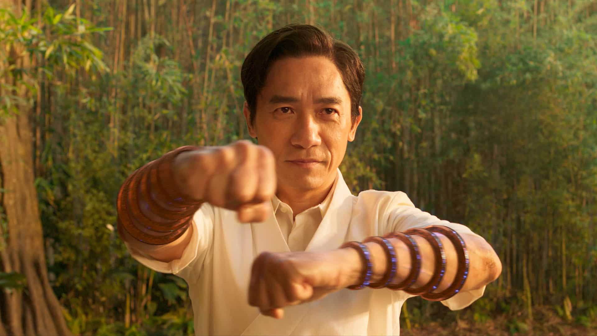 Tony Leung Chiu-wai ako Wenwu