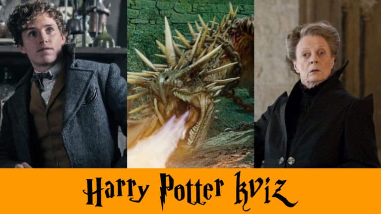 KVÍZ – Ktorá profesia zo sveta Harryho Pottera sa k tebe najviac hodí?