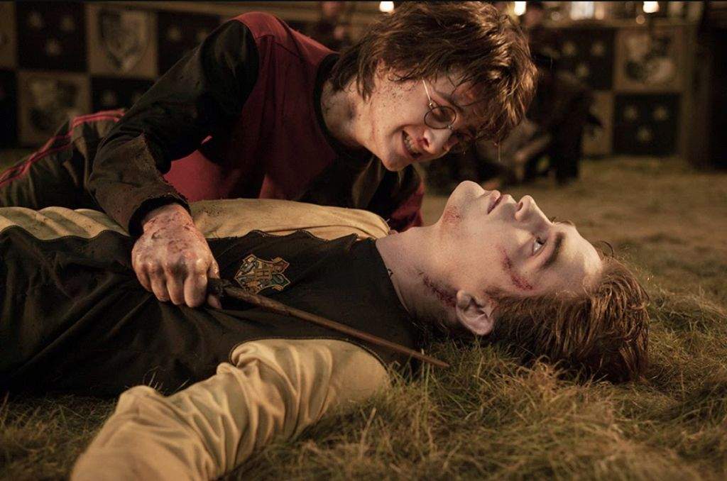 Cedrick Diggory v sérii Harry Potter